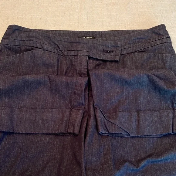 ANN TAYLOR Capris Straight Leg Dress Pants - Picture 6 of 8